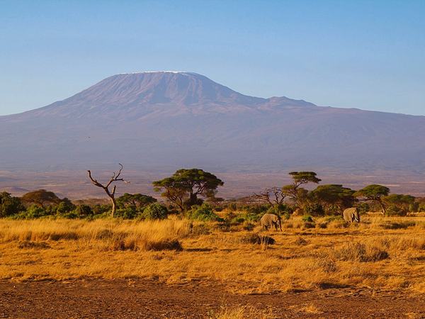 339-1784866665-Kilimanjaro-2
