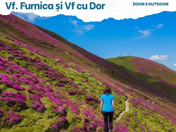 Eveniment Drumeție la Rododendron: Vf. Furnica și Vf. cu Dor