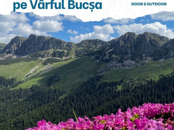 Eveniment Rododendron pe Vârful Bucșa