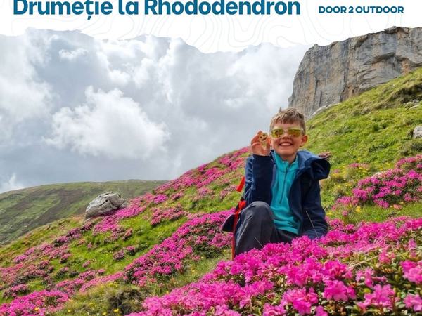 Eveniment Ciucaș în roz. Drumeție la rododendron