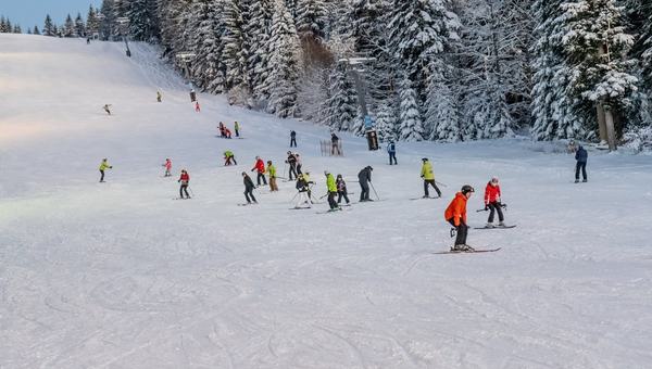 Activitate schi-si-snowboard (real)